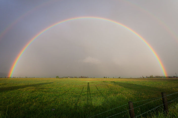 Rainbow over grassy field